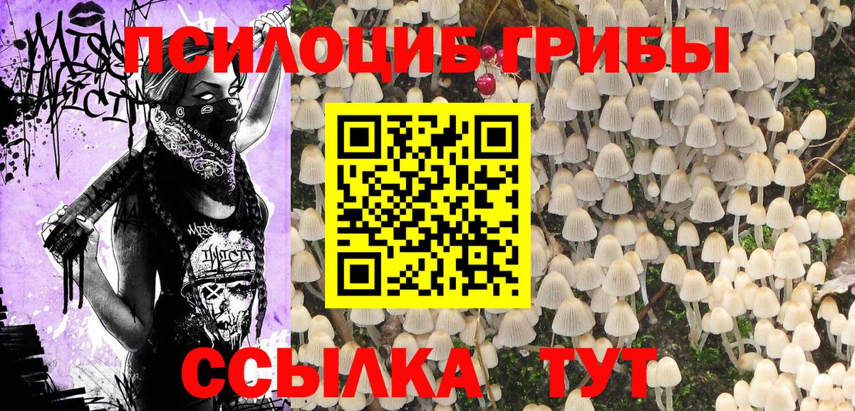Псилоцибиновые грибы Magic Shrooms  Вход с VPN  Кулебаки 